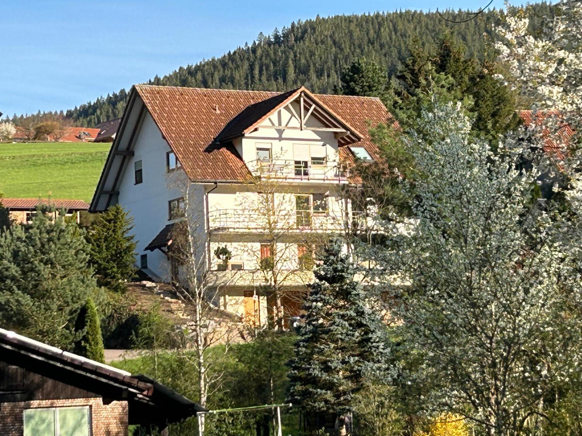 Am Baumgarten Baiersbronn Buitenkant foto